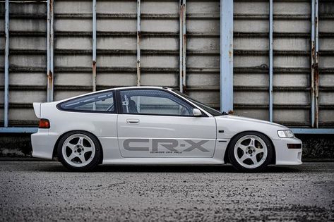 Crx Honda, Crx Si, Honda Hatchback, Honda Civic Si Coupe, Jdm Wheels, Initial D Car, Acura Cars, Jdm Honda, Honda Civic Coupe