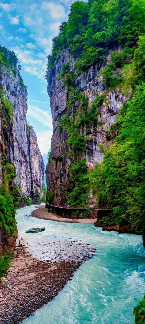 Aare Gorge Switzerland, Aare Gorge, Switzerland Art, Switzerland Tourism, Cambodia Travel, Cheap Flight, Cheap Flight Tickets, Beautiful Vacations, Flight Tickets