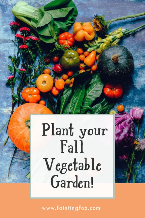 What Can You Plant in a Fall Vegetable Garden? - Fainting Fox Farm Fall Winter Garden Zone 8, Fall Planting For Zone 8, Landscape Rock Ideas, When To Plant Pumpkins, Zone 9 Gardening, Homestead Garden Layout, Fall Vegetables To Plant, Garden Zones, Lettuce Grow