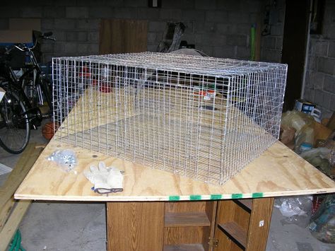 wire rabbit cage tutorial Wire Rabbit Cages, Diy Rabbit Cage, Rabbit Farm, Meat Rabbits, Raising Rabbits, Rabbit Cages, Bunny Cages, Best Chicken Coop, Chicken Cages