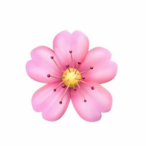 Emoji Flower, Flower Emoji, Iphone Png, Emoji Set, Icon Emoji, Emoji Backgrounds, Transparent Flowers, Emoji Stickers, Cherry Blossom Flowers