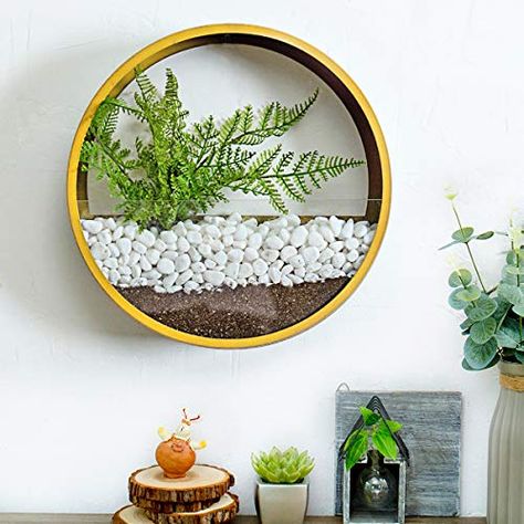 Ecosides Wall Vase, Metal Round Wall Planter Wall Mounted Hanging Flower Pot Plant Holder,Modern Wall Decor Art for B... Plant Planters, Terrarium Design, Metal Wall Planters, Planter Wall, Wall Mounted Planters, Garden Vases, Hanging Vases, Hanging Flower Pots, Living Room Restaurant