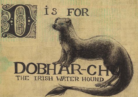 Irish Cryptids, Irish Mythical Creatures, Celtic Myth, Irish Folklore, Myths & Monsters, Irish Mythology, World Mythology, Legends And Myths, The Boogeyman