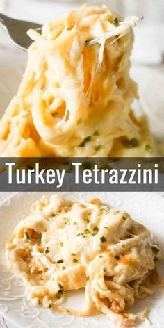 Ground Turkey Cream Cheese Recipes, Recipes With Shredded Turkey, Creamy Turkey Casserole, Turkey Tetrazzini Recipe Easy Healthy, Leftover Shredded Turkey Recipes, Turkey Tetrazzini Recipe Easy Cream Of Mushroom, Turkey Tettrazini Recipes, Leftover Turkey Spaghetti, Turkey Spaghetti Recipes