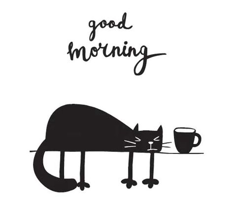 Good Morning Cat! Good morning to you! From a sleepy kitty! Sleepy Good Morning, Cat Good Morning, Hello Pictures, Morning Friend, Sleepy Morning, Morning Thought, Cricut Animals, Good Morning Cat, Fb Quote