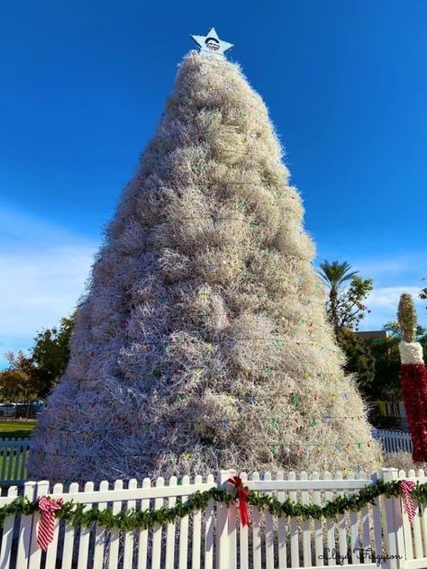 The Tumbleweed Christmas Tree Chandler Arizona Unique Tree Toppers, Congratulations Cake, Yard Sale Signs, Chandler Arizona, Sale Sign, Out Of Space, White Picket Fence, Unique Christmas Trees, Fell Asleep