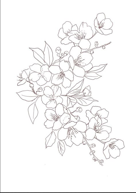 Cherry Blossom Outline, Flower Tattoo Stencils, Sakura Tattoo, Blossom Tattoo, Cherry Blossom Tattoo, Flower Sketches, Floral Drawing, Tattoo Flash Art, Japanese Flowers