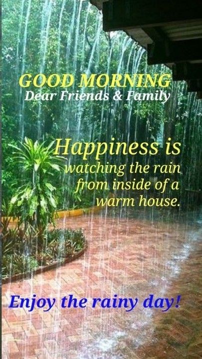 Rainy Thursday Quotes Good Morning, Rainy Morning Quotes, Rainy Day Images, Good Morning Rain, Rainy Good Morning, Good Morning Rainy Day, Rainy Day Quotes, Saturday Morning Quotes, Good Morning Dear