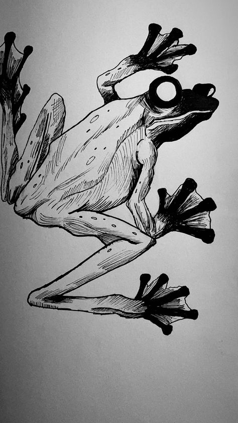 Dark Frog Aesthetic, Scary Frog Drawing, Creepy Frog Drawing, Flying Frog Drawing, Frog Skeleton Drawing, Frog Drawing Reference, Frog Skeleton Tattoo, Scary Frog, Creepy Frog