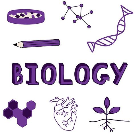 Purple Subject Pack. Perfect gift for anyone heading back to College! Check out my portfolio for all the individual subject versions as I roll them out. Petri dish experiment, pencil, calls, DNA Helix, molecule, atoms, photosynthesis and heart. • Millions of unique designs by independent artists. Find your thing. Purple Biology Aesthetic, Poster Purple, Dna Helix, Doodles Stickers, Petri Dish, Back To College, School Things, Anime Shadow, Photosynthesis