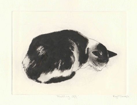 'Nodding off'.  Drypoint Etching by Kay McDonagh.  Original prints available. Kay Mcdonagh, Cat Etching, Etching Drawing, Intaglio Prints, Lithography Art, Drypoint Etching, Cat Art Illustration, Charcoal Art, Swag Art