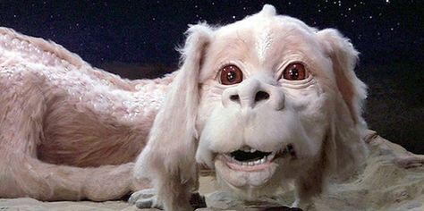 4ft long Falcor replica selling on Etsy Walburga Black, Neverending Story, Ending Story, Fraggle Rock, Pet Sematary, Fear Of Flying, The Neverending Story, Back In My Day, Film Serie