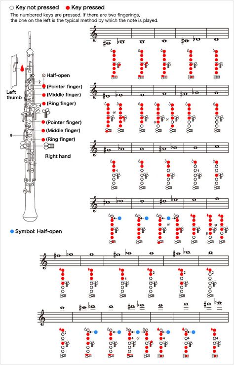 Oboe Instrument, Saxophone Fingering Chart, Oboe Music, Oboe Reed, Music Theory Piano, Music Theory Lessons, Clarinet Music, Clarinet Sheet Music, Band Jokes