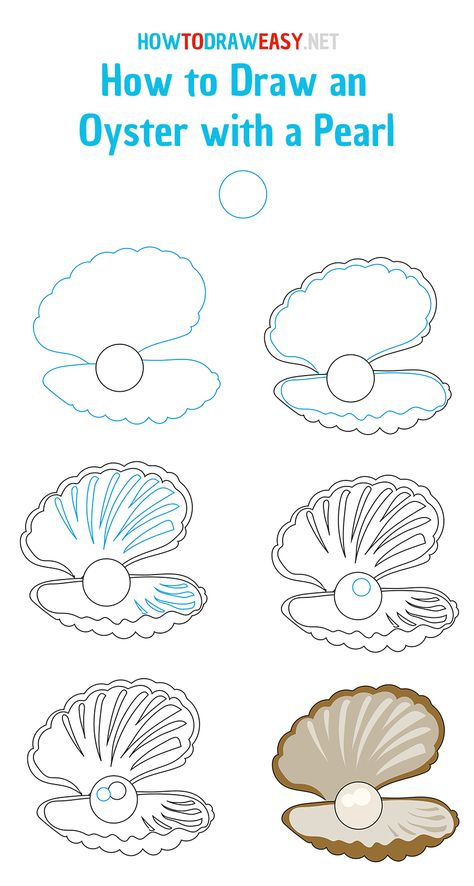 How to Draw an Oyster with a Pearl - How to Draw Easy Clam Drawing, Sea Shell With Pearl, Pearl Drawing, Seashell Drawing, Shell With Pearl, Shell Drawing, Draw Easy, Seashell Painting, Creature Drawings