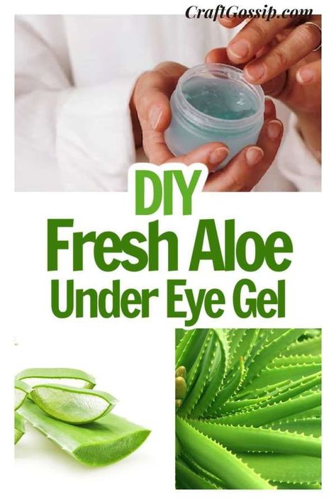 Aloe vera is a versatile plant that has been used for medicinal purposes for centuries. It’s no wonder that it has gained popularity in the beauty world as well. As someone who loves to grow my own aloe vera plant, I’m always excited to discover new ways to use it. Recently, I stumbled upon the … Read More ... Uses Of Aloe Vera Plant, What Can I Make With Aloe Vera Plant, Ways To Use Aloe Vera Plant, How To Use Fresh Aloe Vera, Things To Make With Aloe Vera Plant, How To Extract Aloe Vera Gel From Plant, What To Make With Aloe Vera Plant, Aloe Gel Diy, Uses For Aloe Vera Gel