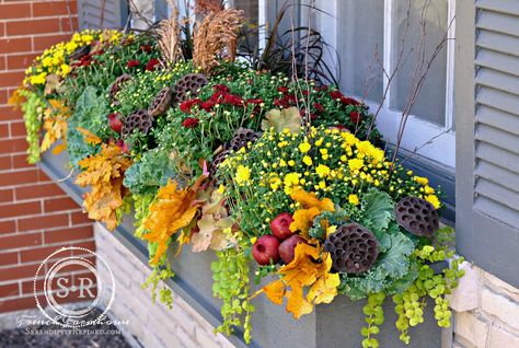 Box Planter Ideas, Fall Flower Boxes, Fall Window Boxes, Planter Arrangements, Fall Windows, Fruits Decoration, Fall Container Gardens, Balkon Decor, Plant Window