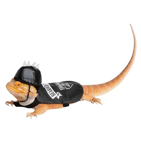 Biker Costume, Reptile Habitat, Cute Reptiles, Wire Dog Crates, Pet Stores, Reptiles And Amphibians, Bearded Dragon, Pet Costumes, Pet Food