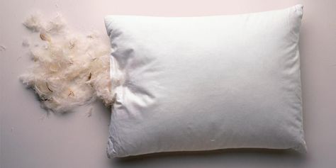 goodhousemag How To Clean Bed, Large Bed Pillows, Wash Feather Pillows, Bed Reading Pillow, Southern Charm Decor, Bean Bag Bed, Clean Bed, Feather Bed, Wash Pillows