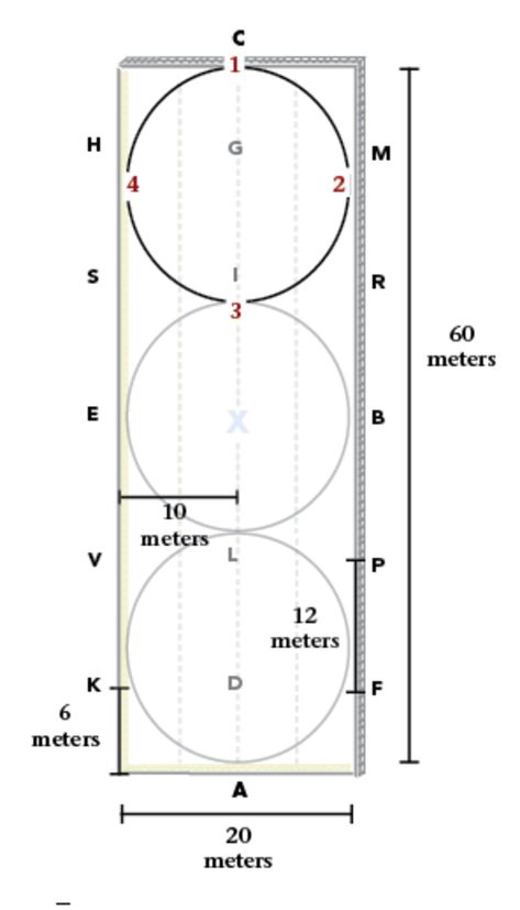 Dressage Arena Letters, Dressage Exercises Training, Western Dressage, Dressage Tests, Dressage Exercises, Random Letters, Dressage Arena, Mnemonic Devices, Horse Arena