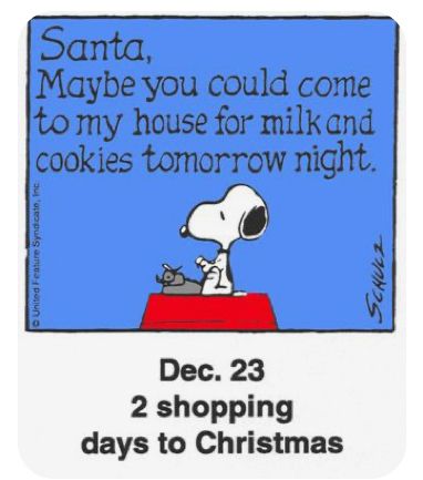 Snoopy December, Snoopy Holidays, Snoopy Xmas, Peanut Characters, Gifs Snoopy, Woodstock Charlie Brown, Charlie Brown Characters, Peanut Gang, Christmas Snoopy