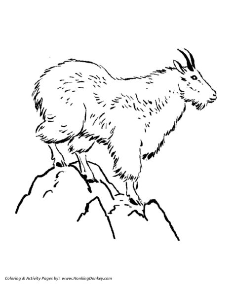 Goat Coloring Pages, Wild Animal Coloring Pages, Goat Clipart, New Coloring Pages, Canada Tattoo, Goat Art, Activity Sheets For Kids, Kid Coloring Page, Cute Goats