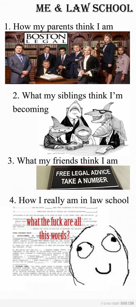 Law School: Parents v. Siblings V. Friends V. Me Law School Memes, Law School Quotes, Motherhood Humor, Law School Humor, In Laws Humor, Lawyer Quotes, Messages Funny, Hilarious Animals, Legal Humor