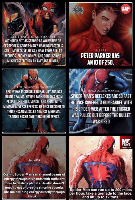 Spiderman facts marvel comics Spiderman Facts, Spider Verse Cosplay, Spider Man Facts, Miles Morales Spider, Spider Man Spider, Miles Morales Spider Man, Superhero Facts, Marvel Facts, Deadpool And Spiderman