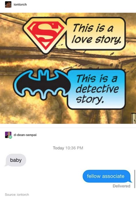 Tumblr Comics, Batfamily Funny, Univers Dc, Batman Funny, Im Batman, Dc Memes, Batman Family, Batman And Superman, Funny Tumblr Posts