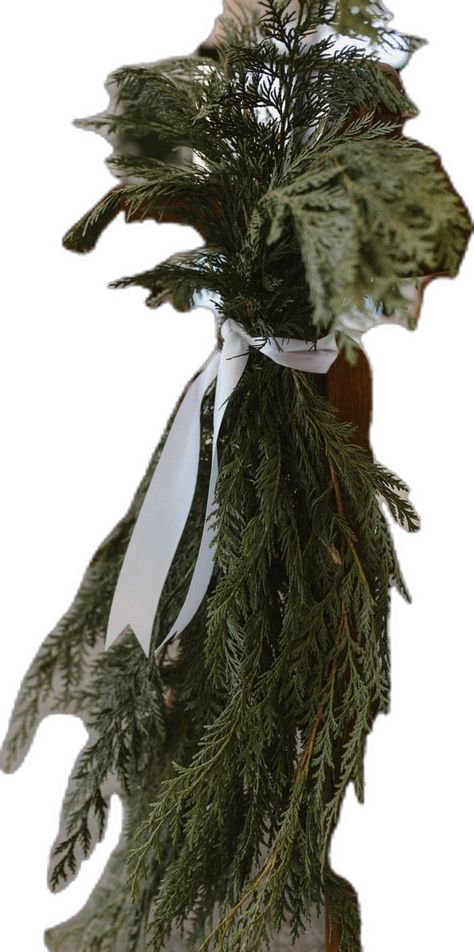 Evergreen hanging off chair in aisle for winter wedding, tied with a simple white ribbon Winter Wedding Simple, Winter Wedding Aisle, Classic Winter Wedding, Winter Greenery, Wedding Simple, Aisle Decor, Wedding Aisle, Wedding Classic, Winter Wedding