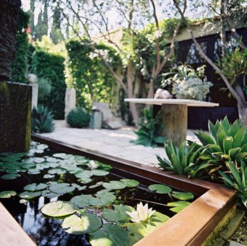 scott shrader 10 Scott Shrader, Indoor Water Features, Garden Ponds, Pond Water Features, California Garden, Water Lilly, Water Gardens, Outdoor Room, Design Blogs