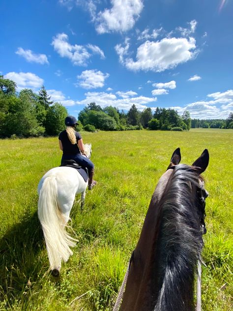 Summer Horse Aesthetic, Horse Life Aesthetic, Horse Moodboard, Summer Horse Riding, Equestrian Friends, Horseback Riding Outfit, Equestrian Summer, Aesthetic Equestrian, Horse Girl Aesthetic