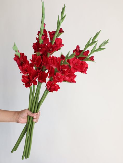 "Design your faux flower arrangement with these exceptionally beautiful Real Touch Gladiolus flowers in white, which are among the best artificial botanicals inspired by nature. Enjoy the luxury of life-like flowers that last~~  The color (dark fuchsia) is more reddish in pictures, and it looks more like a dark fuchsia or deep hot pink in person.  one stem with 6 blooms 34.3\" Tall Blooms are from 2.75\" to 3.54\" wide and 1 mini.  Real touch material flower petals and leaves Wired stems, easy to bend or trim with wire cutters The vase is not included.  More colors: https://www.etsy.com/shop/DexinFloral?ref=hdr_shop_menu§ion_id=20164296 They are perfect for bridal bouquets or wedding flower decoration. Also, these are beautiful just placed in a vase as a centerpiece! You can make your own Bouquet With Gladiolus, Gladiolus In Vase, Red Gladiolus Flower Arrangements, Orange Gladiolus, Pink Gladiolus, Long Stem Flowers, Gladiolus Flower, Faux Flower Arrangements, Real Touch Flowers