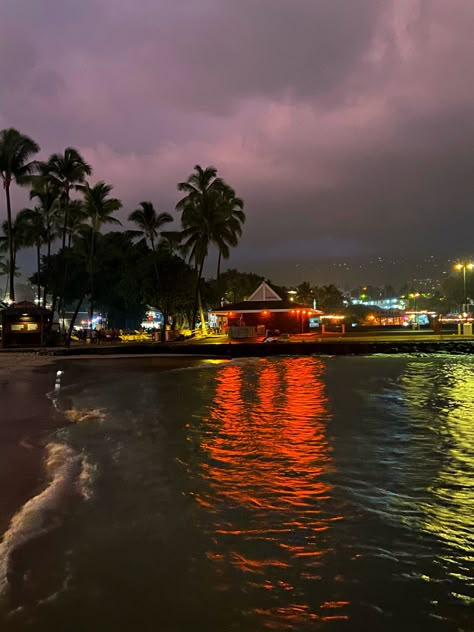 Palm Trees, At Night, Hawaii, The Beach, Trees