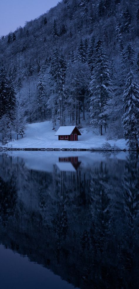 Snow Cabin, Lake Forest, Winter Wallpaper, Winter Scenery, A Cabin, Winter Pictures, Alam Yang Indah, Winter Aesthetic, Landscape Wallpaper