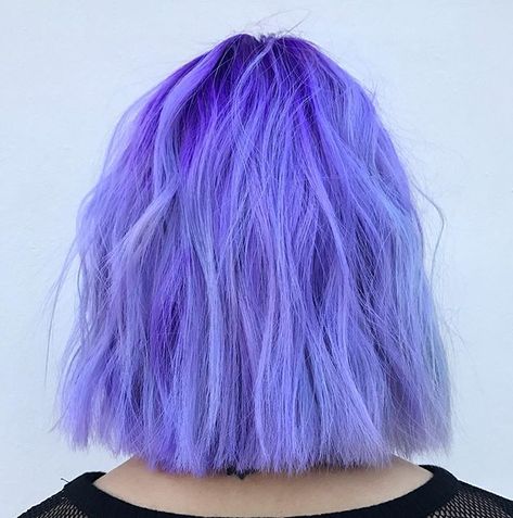 Periwinkle Hair, Pulp Riot Hair Color, Pulp Riot Hair, Cute Hair Colors, Creative Hair Color, Lilac Hair, Pulp Riot, Lavender Hair, Dye My Hair