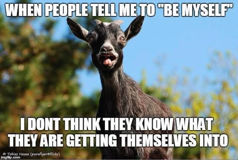 proudly weird! Short Humor Quotes, Funny Qotes, Goat Quote, Farm Humor, Work Quotes Funny, Dating Humor Quotes, Weekend Humor, A Goat, Funny Mom Quotes