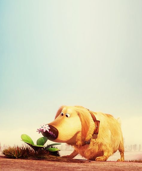 "My name is Dug. I have just met you and I love you." Beto Carrero World, Up Movie, Disney Challenge, Disney Pixar Up, Disney Up, Dug Up, Dream Dog, Disney Dogs, Up Dog