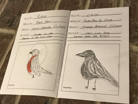 My Bird Watching Journal Bird Activities, Bird Watching Journal, Nature Homeschool, Bird Journal, Birds For Kids, Diy Map, Birding Journal, Journal Nature, Guided Art