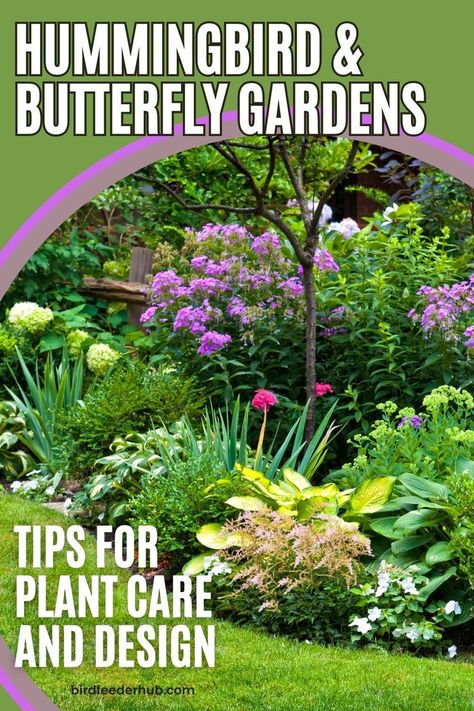 Creating a garden that attracts hummingbirds and butterflies isn't just about choosing the right flowers. Check out our article for flower tips, but also tips on how to care for your plants and how design and plant placement can enhance your experience. Hummingbird Garden Design, Plant Placement In Garden, Butterfly Garden Design Layout, Butterfly Gardens, Butterfly Hummingbird Garden, Flower Garden With Bird Bath, Butterfly Garden Ideas, Hummingbird Garden Plan, Landscaping For Birds And Butterflies