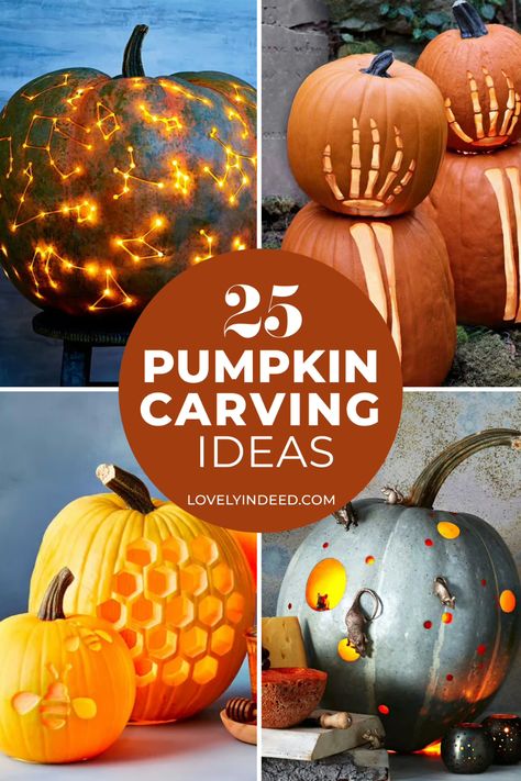 A classic carved pumpkin with a smiling face is fantastic, but here are 25 ways to get extra creative this Halloween! Which of these jack-o'-lantern ideas will you try? Everything from snakes to skeletons, to the celestial night sky - these DIY pumpkin carving ideas are too pretty to pass up. Creative Pumpkin Carving Ideas, Diy Pumpkin Carving, Creative Pumpkin Carving, Amazing Pumpkin Carving, Craft Projects For Adults, Pumpkin Carving Ideas, Jack O Lantern Faces, Lantern Ideas, Pretty Pumpkins