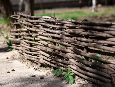 How to Make a Decorative Fence With Tree Branches Tree Branch Fence, Branch Fence, Diy Tree Branch, Wattle Fence, Fence Planning, Willow Garden, Natural Fence, Living Fence, Types Of Fences