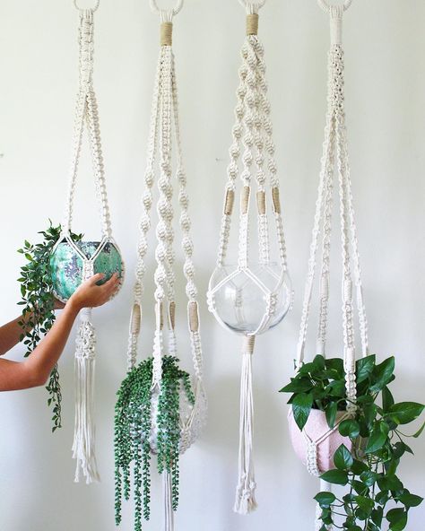 Larks and Leo on Instagram: “Macrame plant hangers: The coziest and safest home for all your plant babies! 💚 . . . Plant hangers available in my Etsy shop. Follow the…” Diy Pot For Plants, Propagation Macrame, Green Macrame Plant Hanger, Macrame Pots & Planters Tutorial, Flower Pot Hanger, Macrame Plant Hanger Multiple Plants, Indoor Plant Hangers, Wooden Coat Hangers, Ceiling Plant Hanger Macrame Dyi