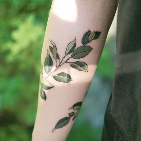 Arm Tattoo Leaves, Lisa Tattoo, Henne Tattoo, Green Tattoos, Tattoo Filler, Omerta Tattoo, Plant Tattoo, Botanical Tattoo, Aesthetic Tattoo