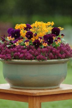 Fall Container Plants, Fall Container Gardens, Fall Containers, Container Garden Design, Container Gardening Flowers, Fall Planters, Meteor Garden 2018, Dogwood Trees, Fast Growing Trees