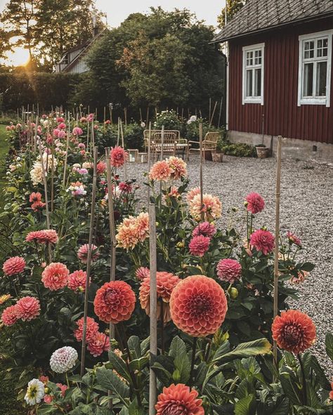 Mission House, Swedish Cottage, Swedish House, Garden Cottage, Country Home, Flower Farm, Scandinavian Home, Dream Garden, Garden Planning