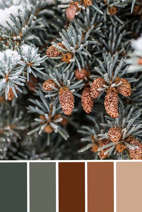 Print Color Palette, Forest Green Christmas, Christmas Decor Printable, Printable Christmas Decorations, Tree Printable, Color Palette Inspiration, Color Schemes Colour Palettes, Palette Inspiration, Fall Color Palette