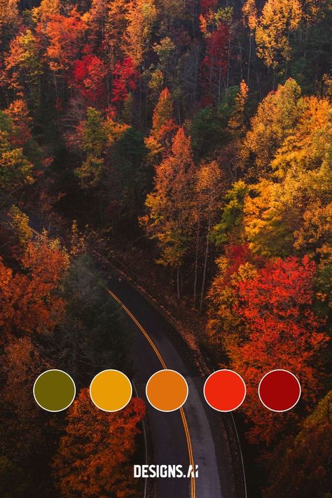 October Palette Color, Foliage Color Palette, November Colour Palette, Fall Pallet Ideas, October Palette, November Color Palette, October Color Palette, Salem Aesthetic, Color Palette Autumn