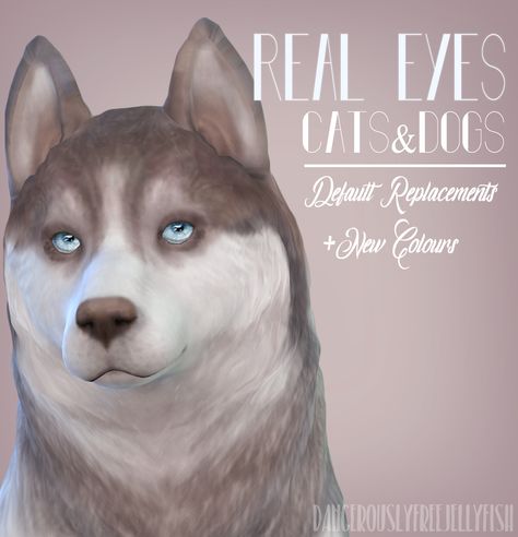 DFJ, Real Eyes - Cats & Dogs Hereâ€™s the more realistic... Sims 4 Cats And Dogs Cc, Sims 4 Eyes, Sims 4 Pets Mod, Taemin Move, Cc Eyes, Sims Funny, Sims Memes, Sims Pets, Sims 4 Cc Eyes