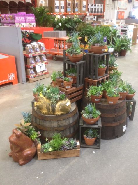 Plant Displays Retail, Retail Plant Display, Retail Plant Display Ideas, Plant Sale Display, Garden Center Displays Retail, Garden Centre Displays, Booth Display Ideas Diy, Cafe Design Inspiration, Succulent Nursery