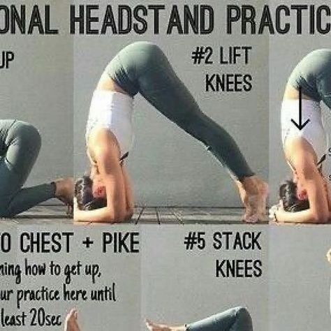 Headstand Tutorial, Yoga Headstand, Yoga Progress, Yoga Anatomy, Hot Top, Basic Yoga, Yoga Times, Yoga For Flexibility, Easy A